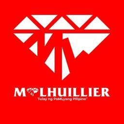 tiger mlhuillier net
